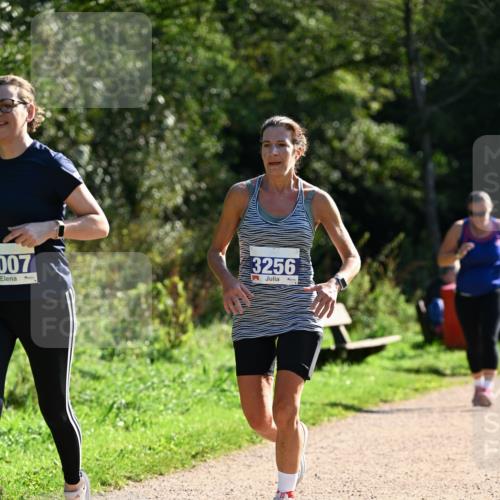 27.09.2026 - 35. Volkslauf durch das schöne Alstertal Dr. Thomas Lammeyer http://msf.ph/oto/10573317 27.09.2026 11:27:22 Laufen 007, 3256 meine-sportfotos.de