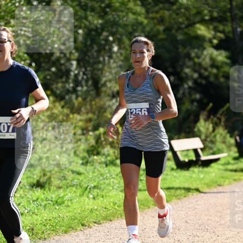 27.09.2026 - 35. Volkslauf durch das schöne Alstertal Dr. Thomas Lammeyer http://msf.ph/oto/10573320 27.09.2026 11:27:22 Laufen 07, 3256 meine-sportfotos.de