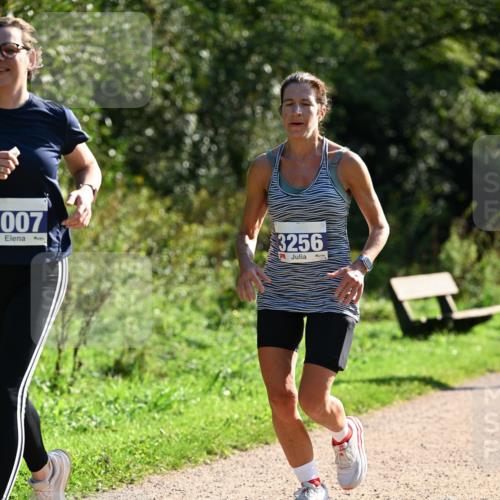 27.09.2026 - 35. Volkslauf durch das schöne Alstertal Dr. Thomas Lammeyer http://msf.ph/oto/10573321 27.09.2026 11:27:22 Laufen 007, 3256 meine-sportfotos.de