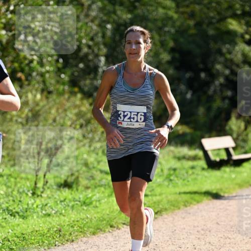 27.09.2026 - 35. Volkslauf durch das schöne Alstertal Dr. Thomas Lammeyer http://msf.ph/oto/10573323 27.09.2026 11:27:23 Laufen 3256 meine-sportfotos.de
