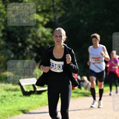 27.09.2026 - 35. Volkslauf durch das schöne Alstertal Dr. Thomas Lammeyer http://msf.ph/oto/10573360 27.09.2026 11:27:37 Laufen 3363 meine-sportfotos.de