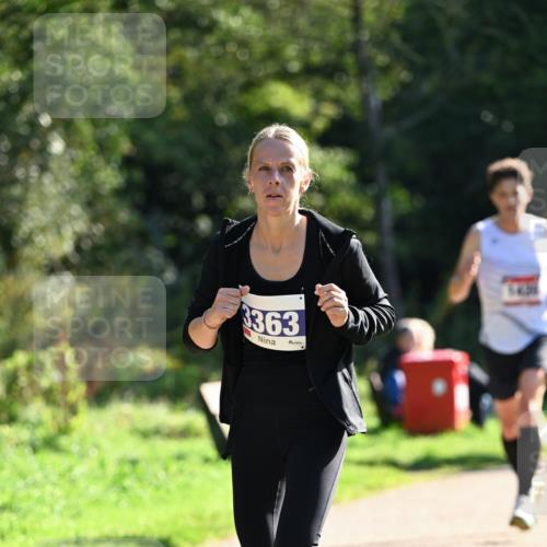 27.09.2026 - 35. Volkslauf durch das schöne Alstertal Dr. Thomas Lammeyer http://msf.ph/oto/10573363 27.09.2026 11:27:37 Laufen 3363 meine-sportfotos.de