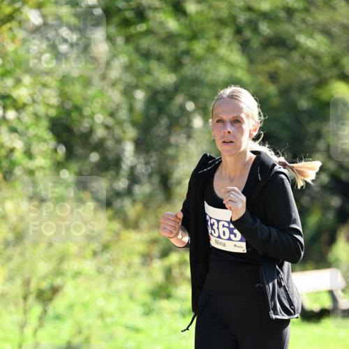 27.09.2026 - 35. Volkslauf durch das schöne Alstertal Dr. Thomas Lammeyer http://msf.ph/oto/10573368 27.09.2026 11:27:38 Laufen 365 meine-sportfotos.de
