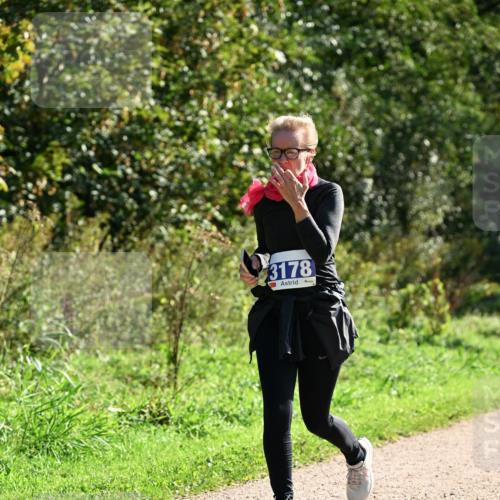 27.09.2026 - 35. Volkslauf durch das schöne Alstertal Dr. Thomas Lammeyer http://msf.ph/oto/10573451 27.09.2026 11:28:18 Laufen 3178 meine-sportfotos.de