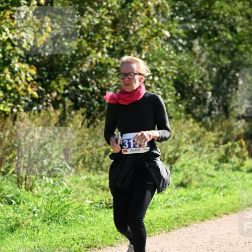 27.09.2026 - 35. Volkslauf durch das schöne Alstertal Dr. Thomas Lammeyer http://msf.ph/oto/10573455 27.09.2026 11:28:19 Laufen 31, 1 meine-sportfotos.de