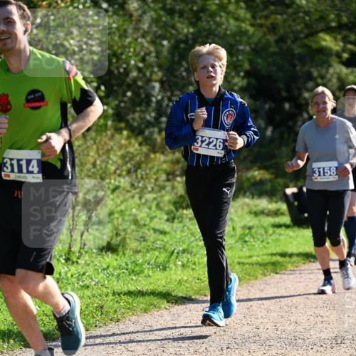 27.09.2026 - 35. Volkslauf durch das schöne Alstertal Dr. Thomas Lammeyer http://msf.ph/oto/10573469 27.09.2026 11:28:33 Laufen 3114, 3226, 3158 meine-sportfotos.de
