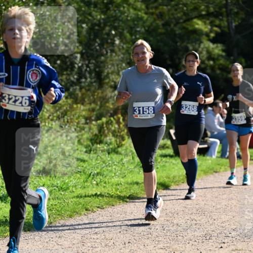 27.09.2026 - 35. Volkslauf durch das schöne Alstertal Dr. Thomas Lammeyer http://msf.ph/oto/10573473 27.09.2026 11:28:34 Laufen 3226, 3158, 3268, 3359 meine-sportfotos.de