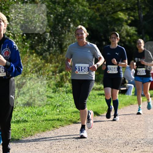 27.09.2026 - 35. Volkslauf durch das schöne Alstertal Dr. Thomas Lammeyer http://msf.ph/oto/10573475 27.09.2026 11:28:34 Laufen 6, 3158, 3268, 3359 meine-sportfotos.de