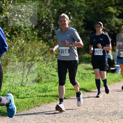 27.09.2026 - 35. Volkslauf durch das schöne Alstertal Dr. Thomas Lammeyer http://msf.ph/oto/10573477 27.09.2026 11:28:34 Laufen 3158, 3268 meine-sportfotos.de