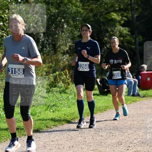 27.09.2026 - 35. Volkslauf durch das schöne Alstertal Dr. Thomas Lammeyer http://msf.ph/oto/10573478 27.09.2026 11:28:35 Laufen 3158, 3268, 3359 meine-sportfotos.de
