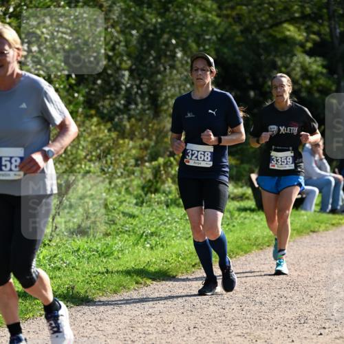 27.09.2026 - 35. Volkslauf durch das schöne Alstertal Dr. Thomas Lammeyer http://msf.ph/oto/10573481 27.09.2026 11:28:35 Laufen 3268, 3359, 158 meine-sportfotos.de