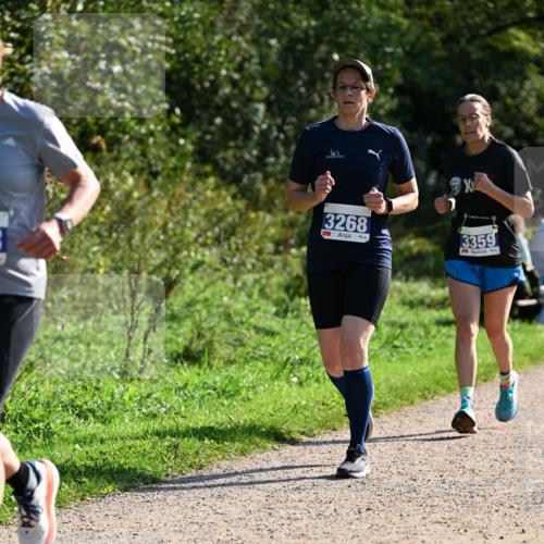 27.09.2026 - 35. Volkslauf durch das schöne Alstertal Dr. Thomas Lammeyer http://msf.ph/oto/10573484 27.09.2026 11:28:35 Laufen 3268, 3359 meine-sportfotos.de