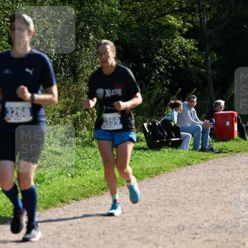 27.09.2026 - 35. Volkslauf durch das schöne Alstertal Dr. Thomas Lammeyer http://msf.ph/oto/10573486 27.09.2026 11:28:36 Laufen 3268, 359 meine-sportfotos.de