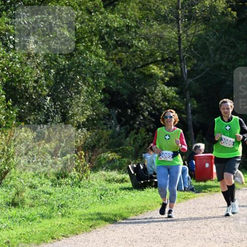 27.09.2026 - 35. Volkslauf durch das schöne Alstertal Dr. Thomas Lammeyer http://msf.ph/oto/10573509 27.09.2026 11:28:50 Laufen 3085, 3086 meine-sportfotos.de