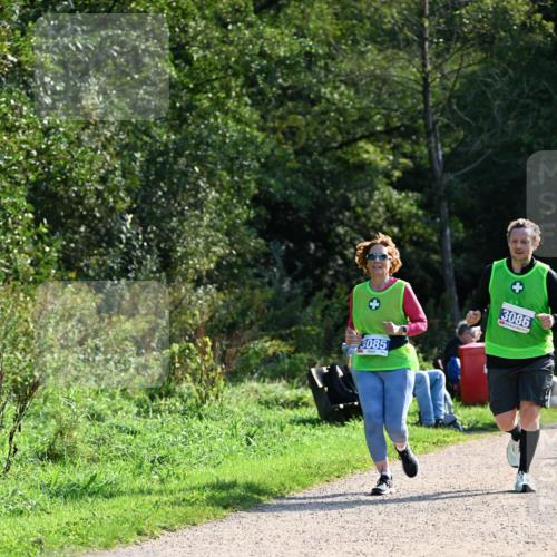 27.09.2026 - 35. Volkslauf durch das schöne Alstertal Dr. Thomas Lammeyer http://msf.ph/oto/10573512 27.09.2026 11:28:51 Laufen 3085, 3086 meine-sportfotos.de