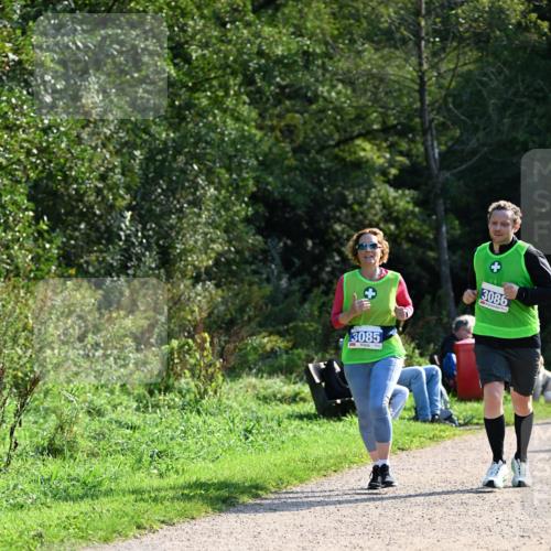 27.09.2026 - 35. Volkslauf durch das schöne Alstertal Dr. Thomas Lammeyer http://msf.ph/oto/10573513 27.09.2026 11:28:51 Laufen 3085, 3086 meine-sportfotos.de