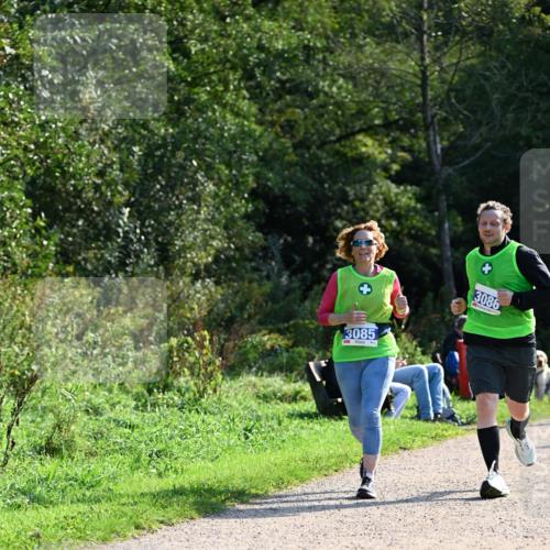 27.09.2026 - 35. Volkslauf durch das schöne Alstertal Dr. Thomas Lammeyer http://msf.ph/oto/10573514 27.09.2026 11:28:51 Laufen 3085, 3086 meine-sportfotos.de
