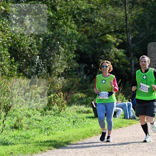 27.09.2026 - 35. Volkslauf durch das schöne Alstertal Dr. Thomas Lammeyer http://msf.ph/oto/10573515 27.09.2026 11:28:51 Laufen 3085, 3086 meine-sportfotos.de