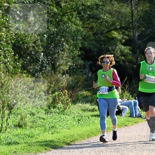 27.09.2026 - 35. Volkslauf durch das schöne Alstertal Dr. Thomas Lammeyer http://msf.ph/oto/10573517 27.09.2026 11:28:51 Laufen 3085, 3086 meine-sportfotos.de