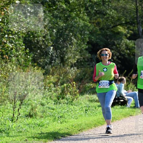 27.09.2026 - 35. Volkslauf durch das schöne Alstertal Dr. Thomas Lammeyer http://msf.ph/oto/10573519 27.09.2026 11:28:51 Laufen 3085 meine-sportfotos.de