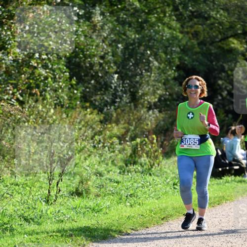 27.09.2026 - 35. Volkslauf durch das schöne Alstertal Dr. Thomas Lammeyer http://msf.ph/oto/10573522 27.09.2026 11:28:52 Laufen 3085 meine-sportfotos.de