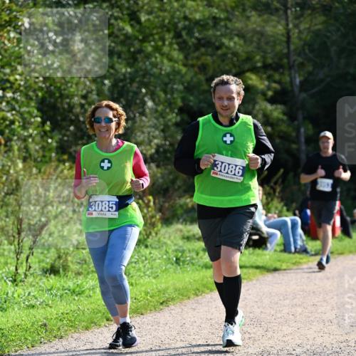 27.09.2026 - 35. Volkslauf durch das schöne Alstertal Dr. Thomas Lammeyer http://msf.ph/oto/10573524 27.09.2026 11:28:53 Laufen 13086, 3085 meine-sportfotos.de