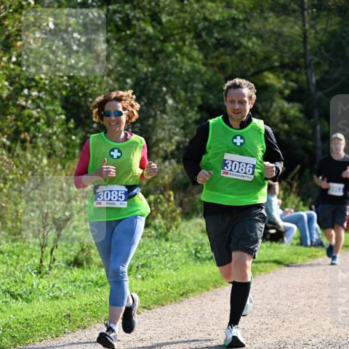 27.09.2026 - 35. Volkslauf durch das schöne Alstertal Dr. Thomas Lammeyer http://msf.ph/oto/10573526 27.09.2026 11:28:53 Laufen 3085, 1, 3086 meine-sportfotos.de