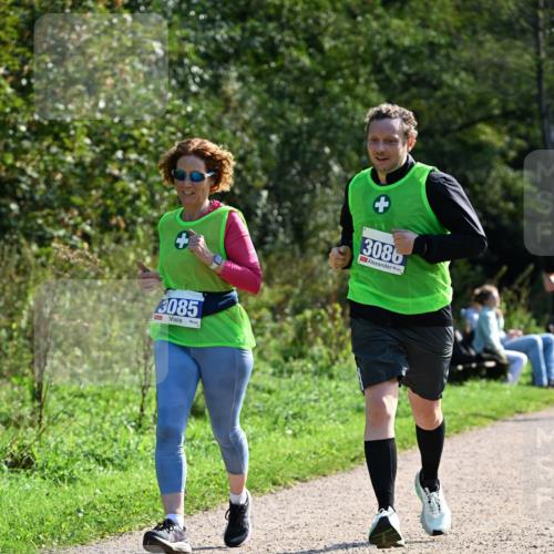 27.09.2026 - 35. Volkslauf durch das schöne Alstertal Dr. Thomas Lammeyer http://msf.ph/oto/10573528 27.09.2026 11:28:53 Laufen 3085, 3086 meine-sportfotos.de