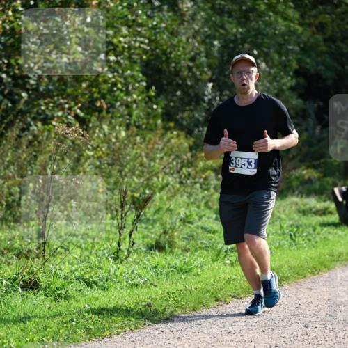 27.09.2026 - 35. Volkslauf durch das schöne Alstertal Dr. Thomas Lammeyer http://msf.ph/oto/10573539 27.09.2026 11:28:56 Laufen 3953 meine-sportfotos.de