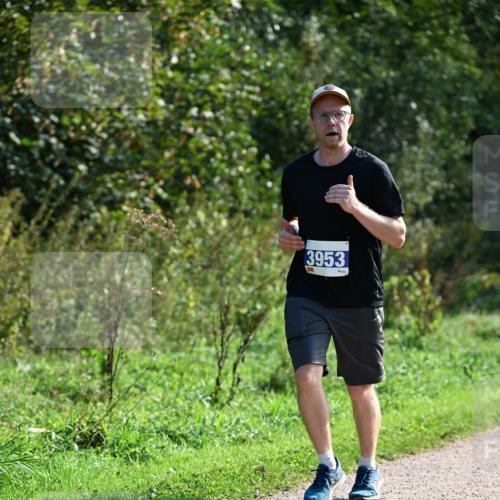 27.09.2026 - 35. Volkslauf durch das schöne Alstertal Dr. Thomas Lammeyer http://msf.ph/oto/10573543 27.09.2026 11:28:56 Laufen 3953 meine-sportfotos.de