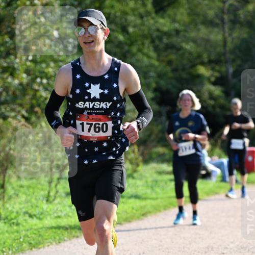 27.09.2026 - 35. Volkslauf durch das schöne Alstertal Dr. Thomas Lammeyer http://msf.ph/oto/10573574 27.09.2026 11:29:03 Laufen 1760, 2121 meine-sportfotos.de