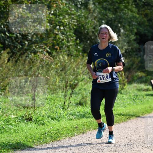 27.09.2026 - 35. Volkslauf durch das schöne Alstertal Dr. Thomas Lammeyer http://msf.ph/oto/10573583 27.09.2026 11:29:04 Laufen 3127 meine-sportfotos.de