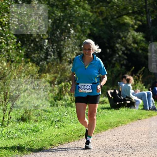 27.09.2026 - 35. Volkslauf durch das schöne Alstertal Dr. Thomas Lammeyer http://msf.ph/oto/10573628 27.09.2026 11:29:13 Laufen 3999 meine-sportfotos.de