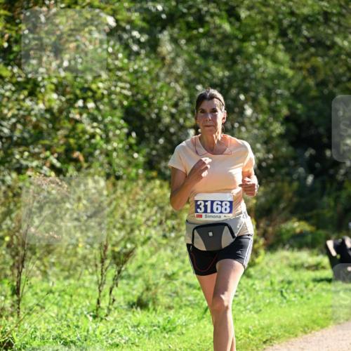 27.09.2026 - 35. Volkslauf durch das schöne Alstertal Dr. Thomas Lammeyer http://msf.ph/oto/10573643 27.09.2026 11:29:26 Laufen 3168 meine-sportfotos.de