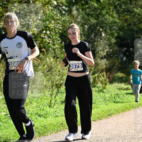 27.09.2026 - 35. Volkslauf durch das schöne Alstertal Dr. Thomas Lammeyer http://msf.ph/oto/10573680 27.09.2026 11:29:32 Laufen 308, 3079 meine-sportfotos.de