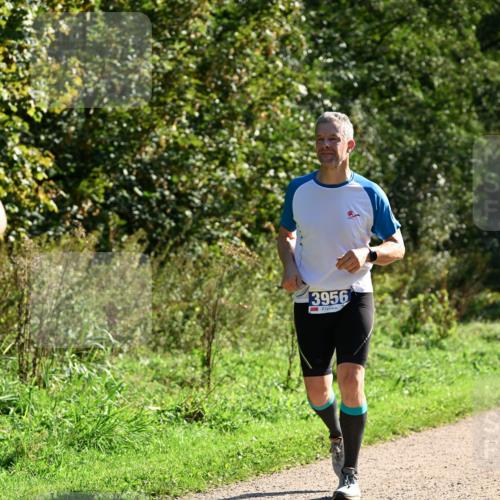 27.09.2026 - 35. Volkslauf durch das schöne Alstertal Dr. Thomas Lammeyer http://msf.ph/oto/10573751 27.09.2026 11:29:53 Laufen 3956 meine-sportfotos.de