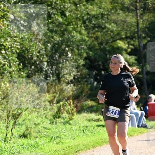 27.09.2026 - 35. Volkslauf durch das schöne Alstertal Dr. Thomas Lammeyer http://msf.ph/oto/10573762 27.09.2026 11:29:57 Laufen 3271 meine-sportfotos.de