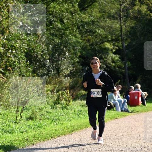 27.09.2026 - 35. Volkslauf durch das schöne Alstertal Dr. Thomas Lammeyer http://msf.ph/oto/10573793 27.09.2026 11:30:03 Laufen 3300 meine-sportfotos.de