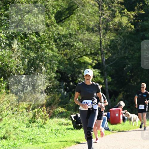 27.09.2026 - 35. Volkslauf durch das schöne Alstertal Dr. Thomas Lammeyer http://msf.ph/oto/10573815 27.09.2026 11:30:14 Laufen 38 meine-sportfotos.de