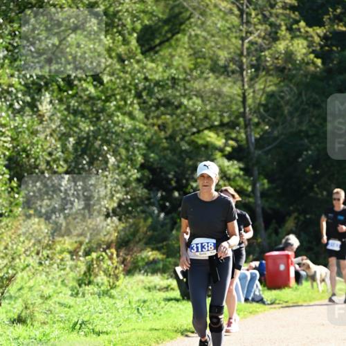 27.09.2026 - 35. Volkslauf durch das schöne Alstertal Dr. Thomas Lammeyer http://msf.ph/oto/10573816 27.09.2026 11:30:14 Laufen 3138 meine-sportfotos.de