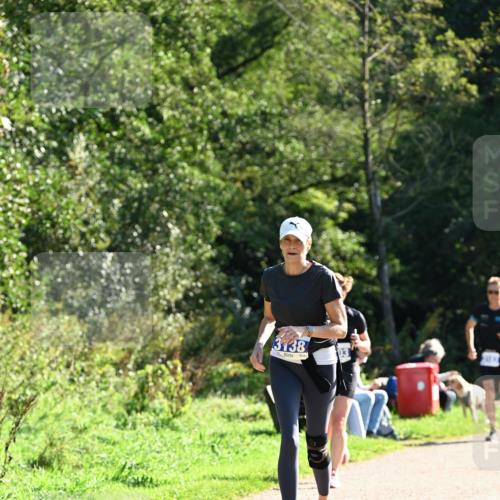 27.09.2026 - 35. Volkslauf durch das schöne Alstertal Dr. Thomas Lammeyer http://msf.ph/oto/10573817 27.09.2026 11:30:14 Laufen 3138 meine-sportfotos.de
