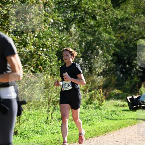 27.09.2026 - 35. Volkslauf durch das schöne Alstertal Dr. Thomas Lammeyer http://msf.ph/oto/10573834 27.09.2026 11:30:17 Laufen 3303 meine-sportfotos.de