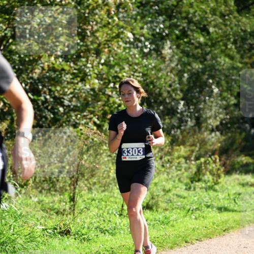 27.09.2026 - 35. Volkslauf durch das schöne Alstertal Dr. Thomas Lammeyer http://msf.ph/oto/10573837 27.09.2026 11:30:17 Laufen 3303 meine-sportfotos.de