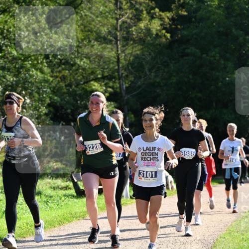 27.09.2026 - 35. Volkslauf durch das schöne Alstertal Dr. Thomas Lammeyer http://msf.ph/oto/10573890 27.09.2026 11:30:34 Laufen 312, 3228, 3986, 202, 3101, 16 meine-sportfotos.de