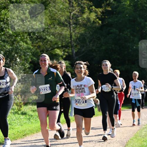 27.09.2026 - 35. Volkslauf durch das schöne Alstertal Dr. Thomas Lammeyer http://msf.ph/oto/10573892 27.09.2026 11:30:35 Laufen 129, 3228, 3986, 2025, 3101 meine-sportfotos.de