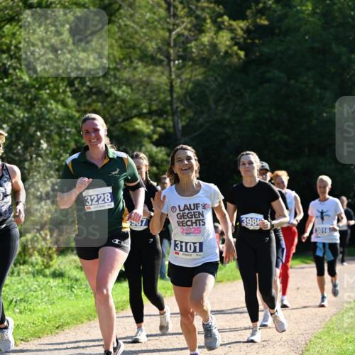27.09.2026 - 35. Volkslauf durch das schöne Alstertal Dr. Thomas Lammeyer http://msf.ph/oto/10573894 27.09.2026 11:30:35 Laufen 3228, 3986, 2025, 5, 3016, 3101 meine-sportfotos.de