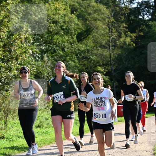 27.09.2026 - 35. Volkslauf durch das schöne Alstertal Dr. Thomas Lammeyer http://msf.ph/oto/10573899 27.09.2026 11:30:35 Laufen 3129, 3228, 3987, 2025, 3101, 3980 meine-sportfotos.de