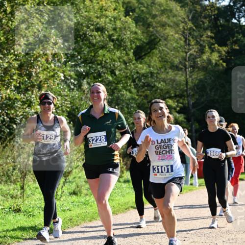 27.09.2026 - 35. Volkslauf durch das schöne Alstertal Dr. Thomas Lammeyer http://msf.ph/oto/10573900 27.09.2026 11:30:36 Laufen 129, 3228, 139, 200, 3101, 3986 meine-sportfotos.de