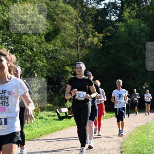 27.09.2026 - 35. Volkslauf durch das schöne Alstertal Dr. Thomas Lammeyer http://msf.ph/oto/10573906 27.09.2026 11:30:36 Laufen 25, 1, 3986, 3016 meine-sportfotos.de