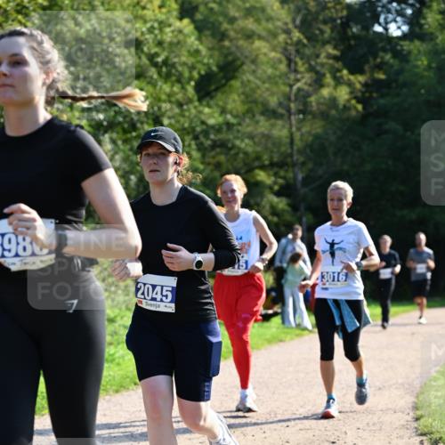 27.09.2026 - 35. Volkslauf durch das schöne Alstertal Dr. Thomas Lammeyer http://msf.ph/oto/10573918 27.09.2026 11:30:38 Laufen 98, 2045, 3016 meine-sportfotos.de